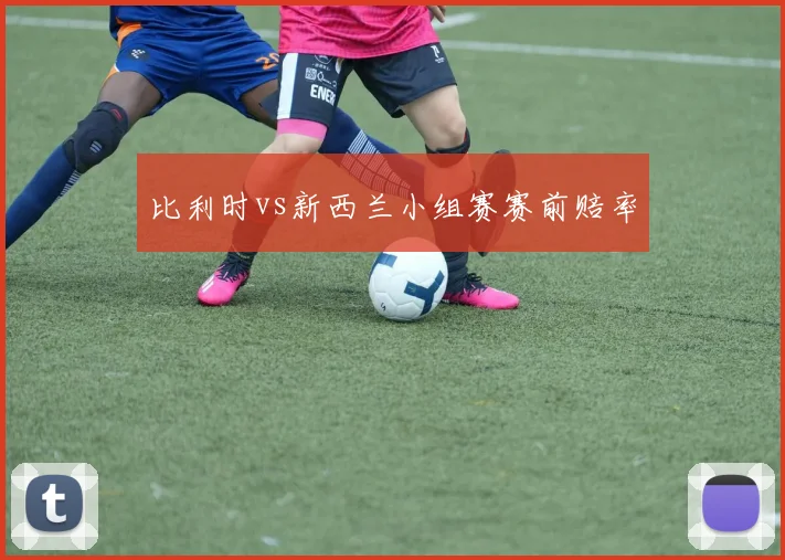 比利时vs新西兰小组赛赛前赔率
