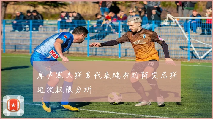 库卢塞夫斯基代表瑞典对阵突尼斯进攻权限分析