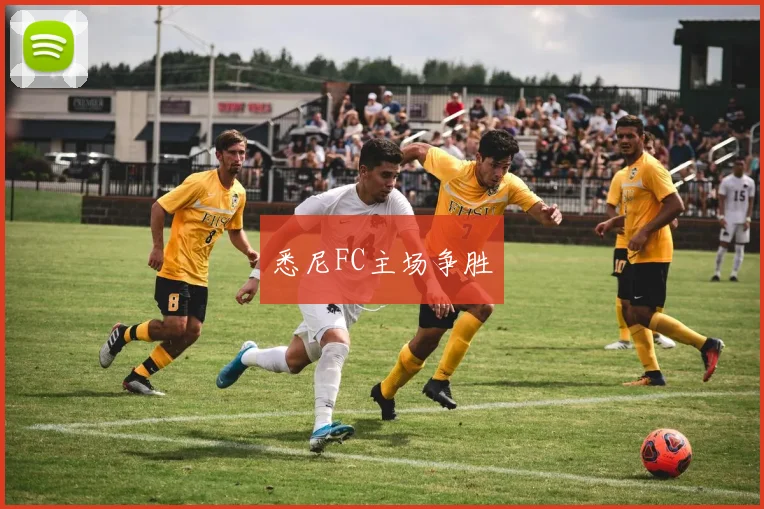 悉尼FC主场争胜