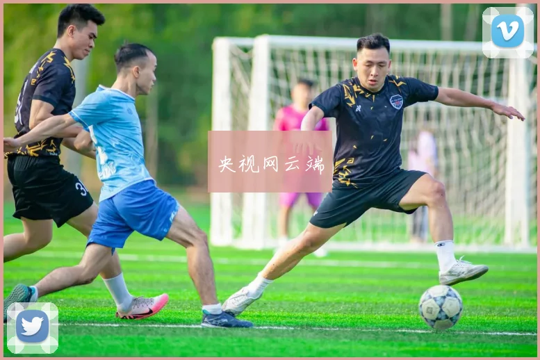 央视网云端