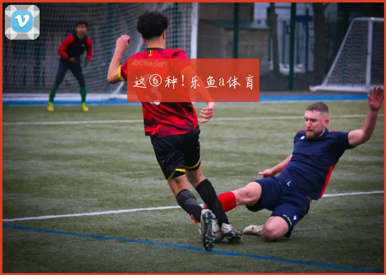 这⑥种!乐鱼a体育