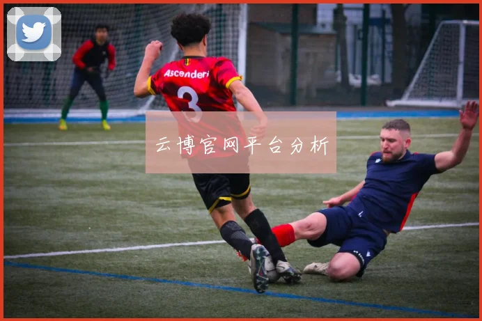 云博官网平台分析
