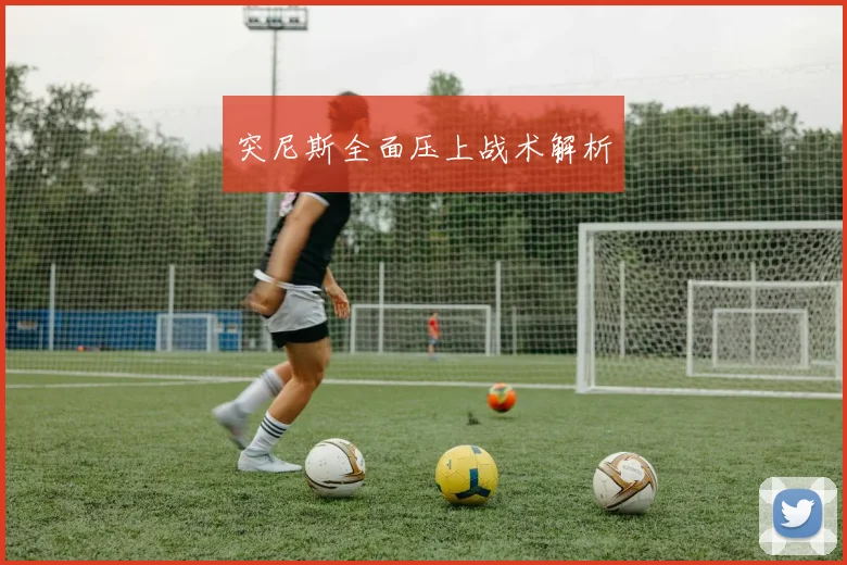 突尼斯全面压上战术解析