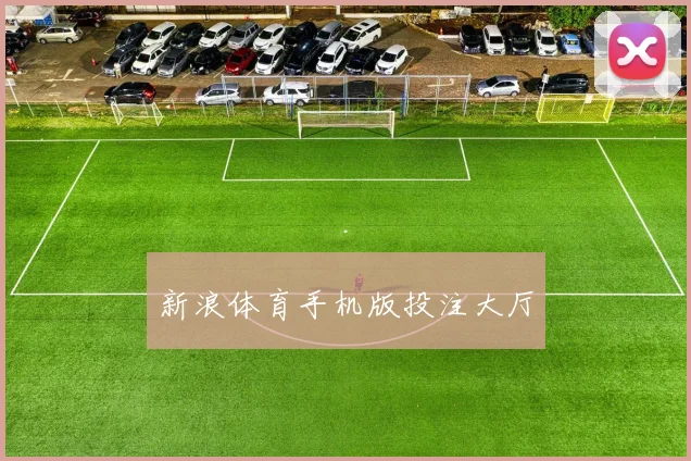新浪体育手机版投注大厅