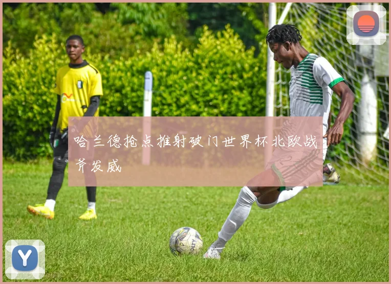 哈兰德抢点推射破门世界杯北欧战斧发威