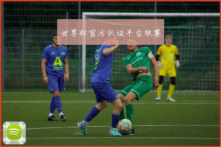 世界杯官方认证平台联赛