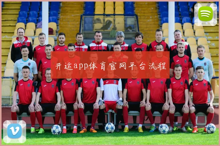 开运app体育官网平台流程