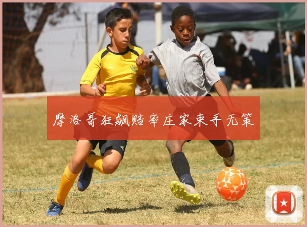 摩洛哥狂飙赔率庄家束手无策