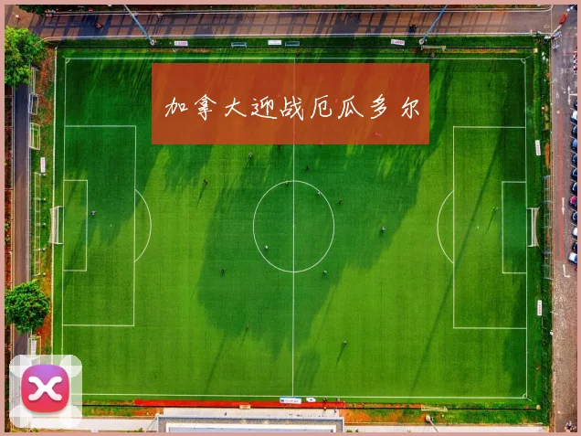 加拿大迎战厄瓜多尔