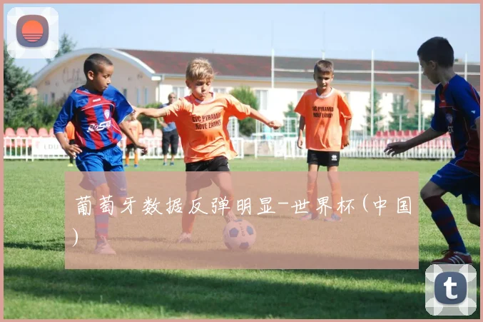 葡萄牙数据反弹明显-世界杯(中国)