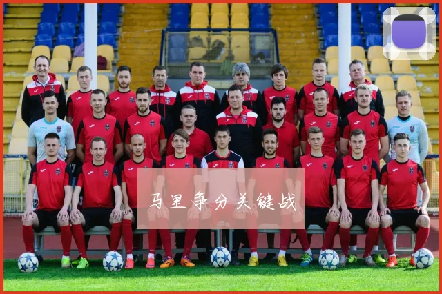 马里争分关键战