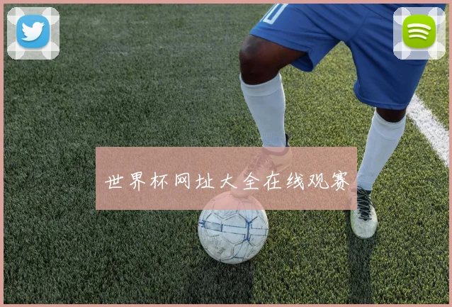 世界杯网址大全在线观赛