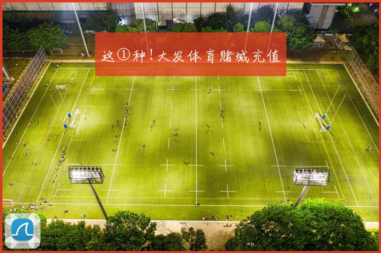 这①种!大发体育赌城充值