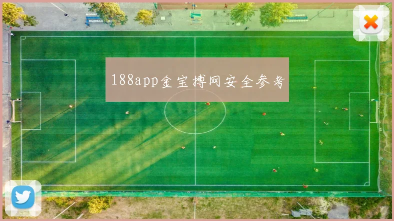 188app金宝搏网安全参考
