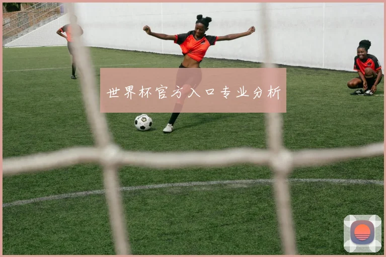 世界杯官方入口专业分析