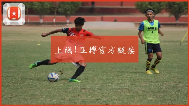 上线!亚搏官方链接