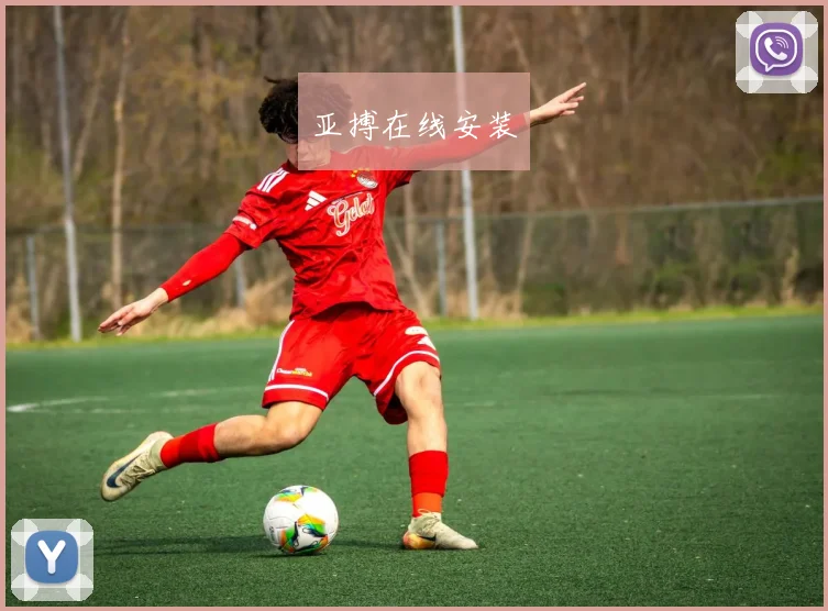 亚搏在线安装