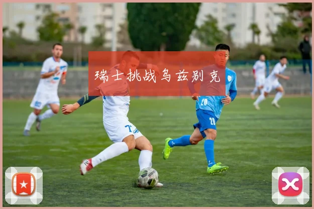 瑞士挑战乌兹别克