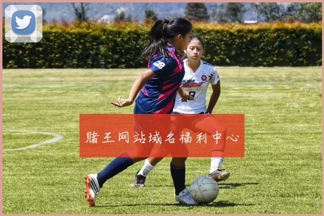 赌王网站域名福利中心