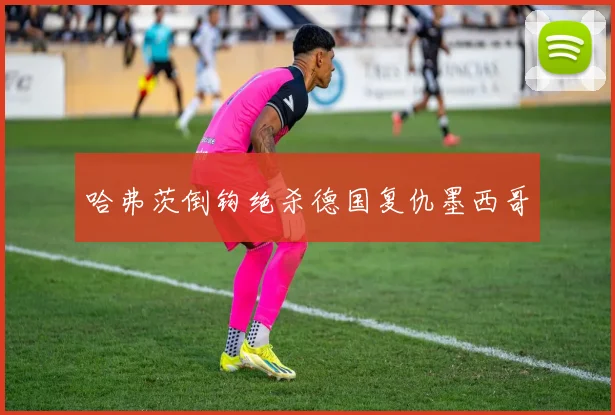 哈弗茨倒钩绝杀德国复仇墨西哥