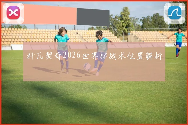 科瓦契奇2026世界杯战术位置解析