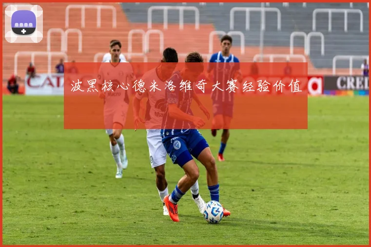 波黑核心德米洛维奇大赛经验价值