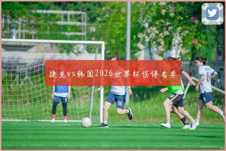 捷克vs韩国2026世界杯伤停名单