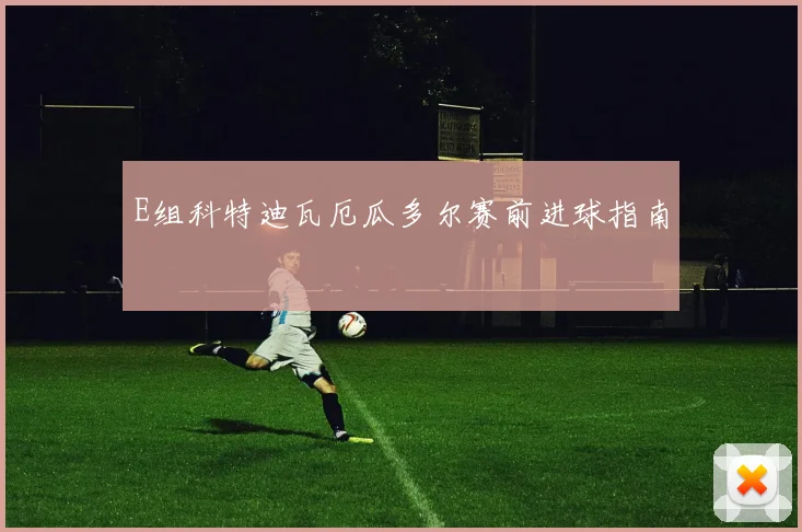 E组科特迪瓦厄瓜多尔赛前进球指南