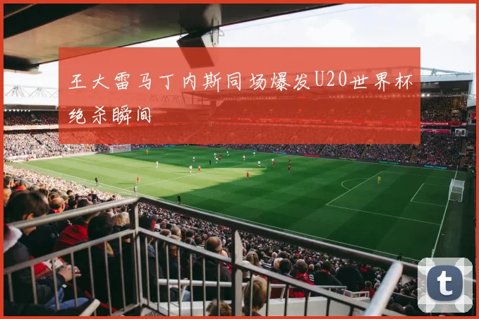 王大雷马丁内斯同场爆发U20世界杯绝杀瞬间