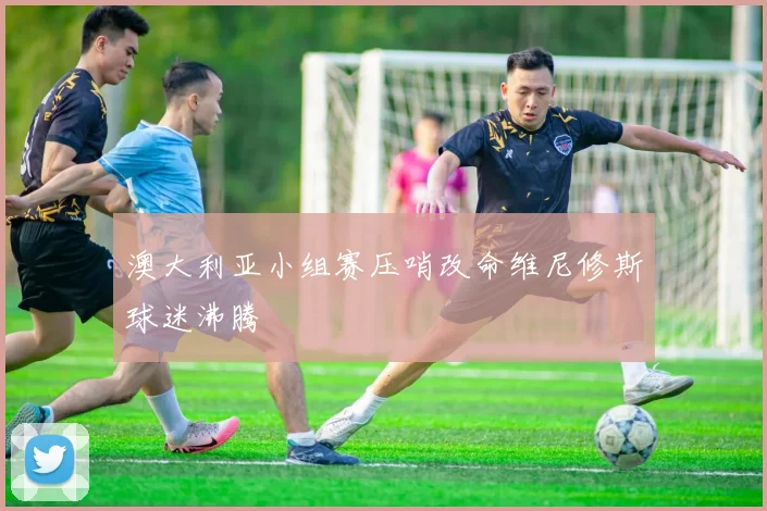 澳大利亚小组赛压哨改命维尼修斯球迷沸腾