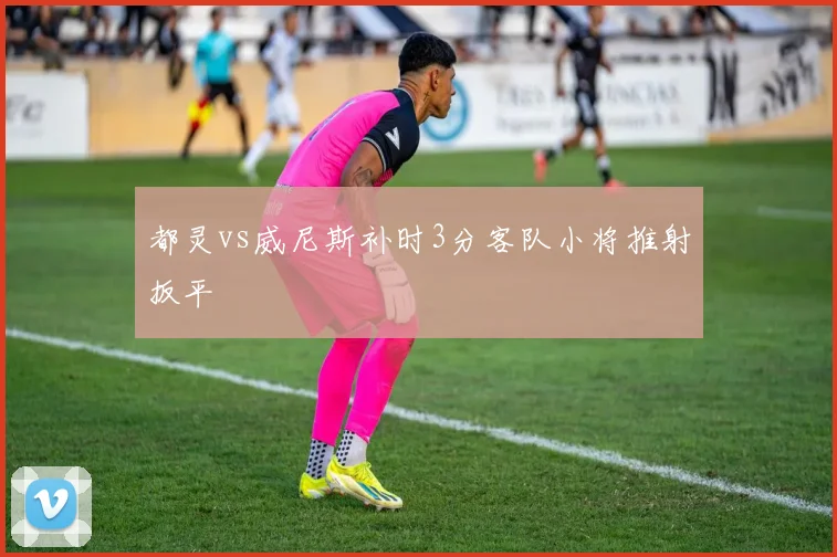 都灵vs威尼斯补时3分客队小将推射扳平