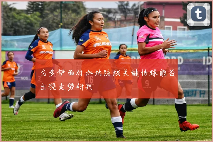 戈多伊面对加纳防线关键传球能否出现走势研判