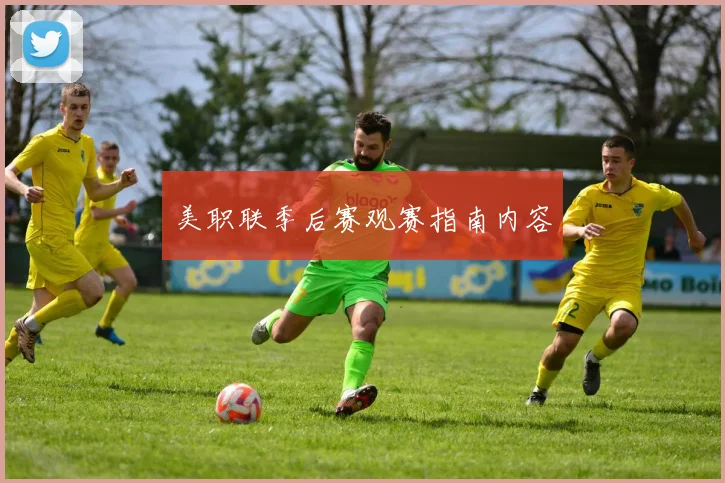 美职联季后赛观赛指南内容