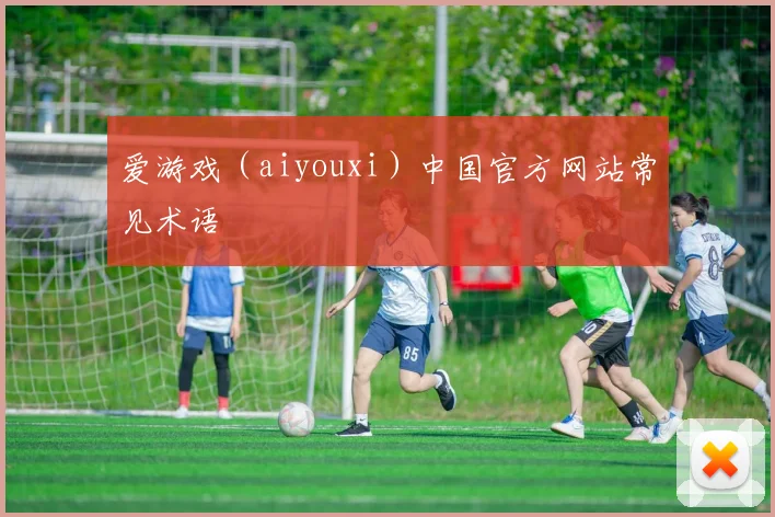 爱游戏（aiyouxi）中国官方网站常见术语