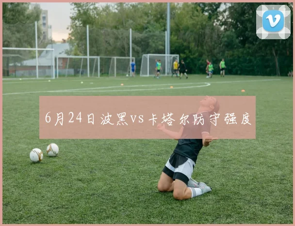 6月24日波黑vs卡塔尔防守强度