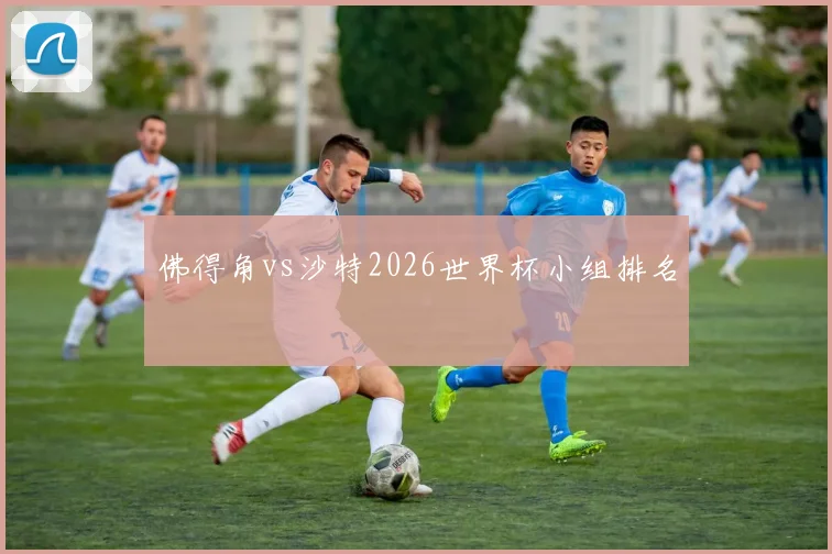 佛得角vs沙特2026世界杯小组排名