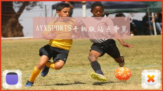 AYXSPORTS手机版站点导览